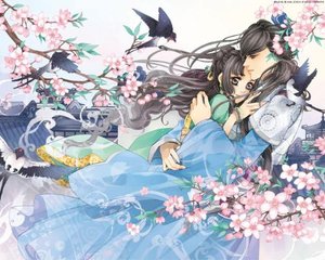 巴厘岛spa小说
